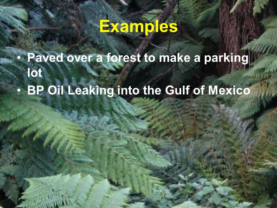 Examples Paved over a forest to make a parking lot BP Oil Leaking into the Gulf of Mexico