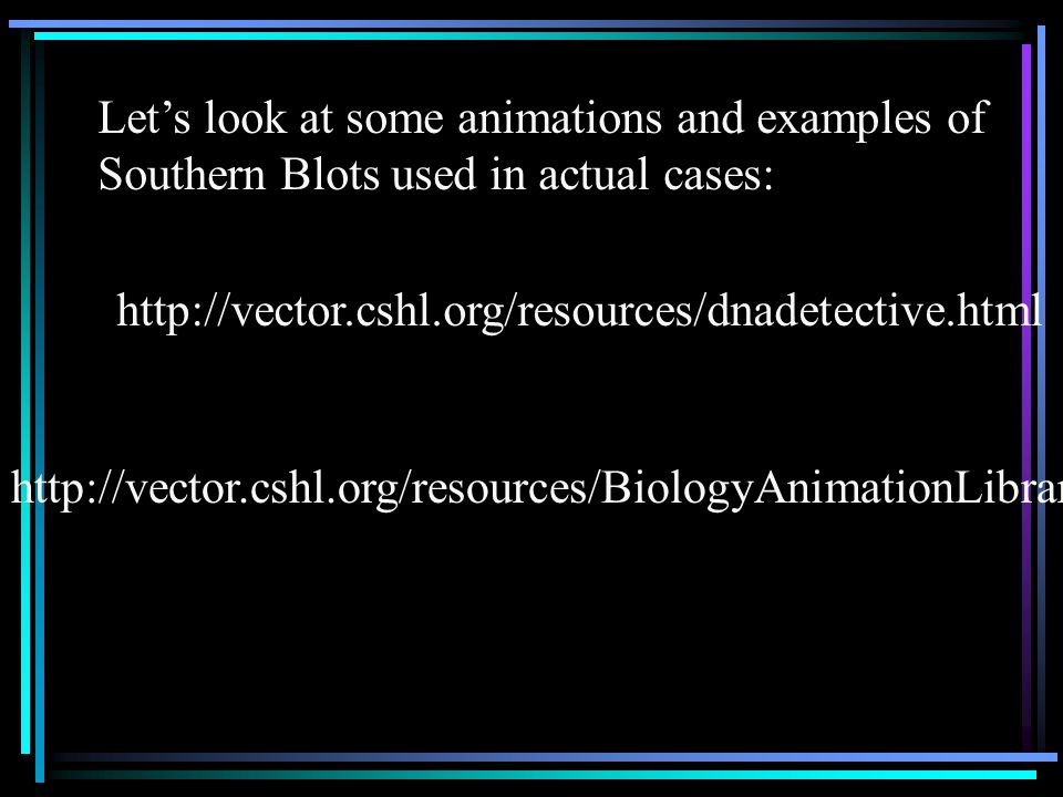 Southern Blotting DNA Fingerprinting. Southern Blot A Southern Blot  identifies specific sequences of DNA A Southern Blot may be used to  determine a DNA. - ppt download