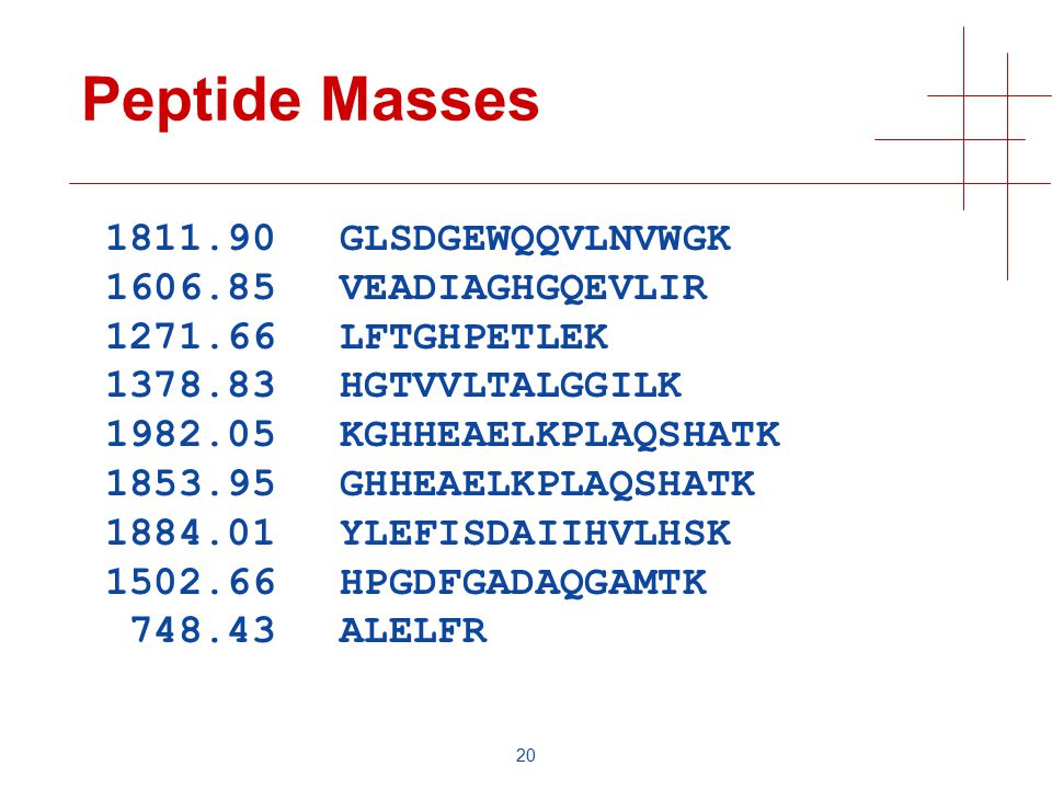 20 Peptide Masses GLSDGEWQQVLNVWGK VEADIAGHGQEVLIR LFTGHPETLEK HGTVVLTALGGILK KGHHEAELKPLAQSHATK GHHEAELKPLAQSHATK YLEFISDAIIHVLHSK HPGDFGADAQGAMTK ALELFR