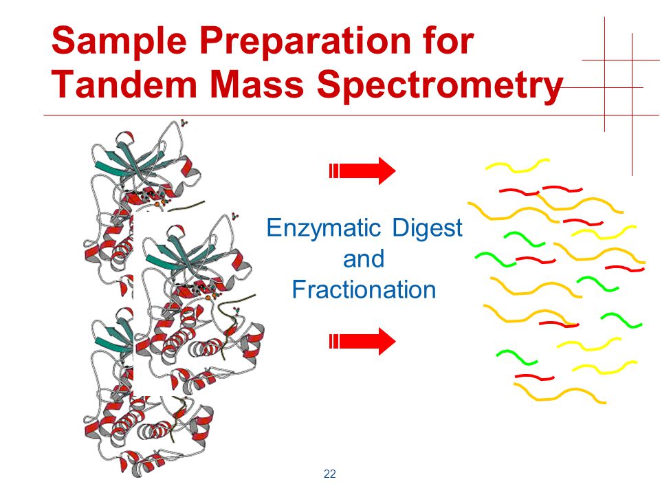 22 Sample Preparation for Tandem Mass Spectrometry Enzymatic Digest and Fractionation