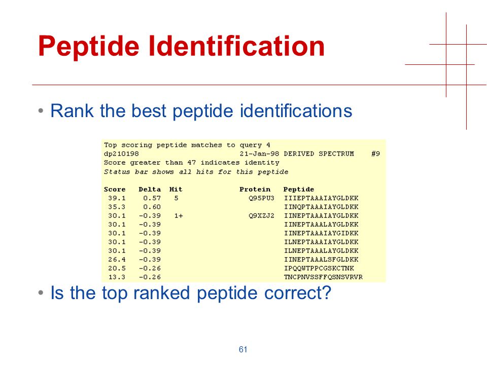 61 Peptide Identification Rank the best peptide identifications Is the top ranked peptide correct