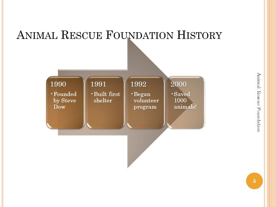 A NIMAL R ESCUE F OUNDATION H ISTORY 1990 Founded by Steve Dow 1991 Built first shelter 1992 Began volunteer program 2000 Saved 1000 animals.