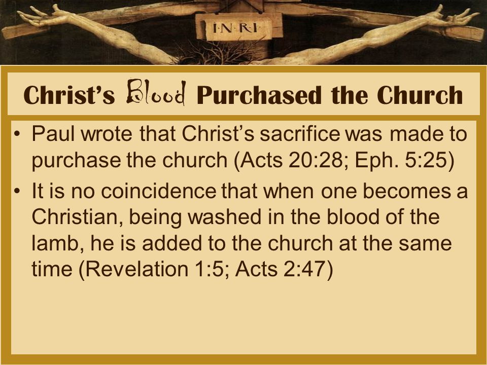 Christ’s Blood Purchased the Church Paul wrote that Christ’s sacrifice was made to purchase the church (Acts 20:28; Eph.