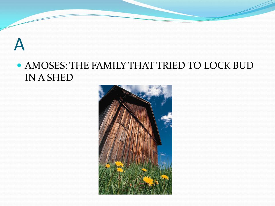 A AMOSES: THE FAMILY THAT TRIED TO LOCK BUD IN A SHED
