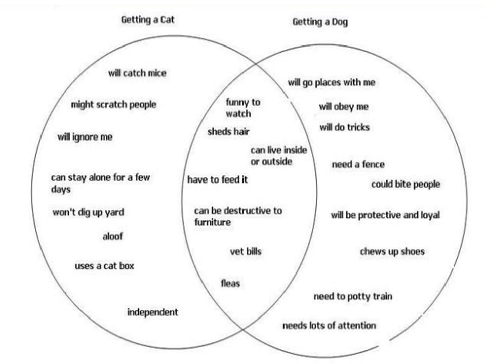 cats and dogs venn diagram magdalene project org cats and dogs venn diagram
