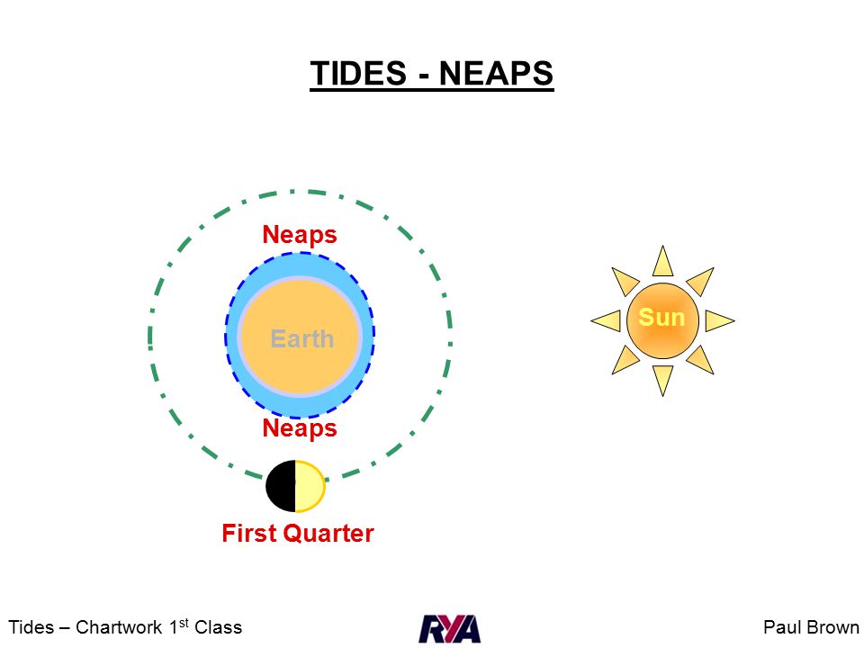 2021 Norfolk Tides Media Guide by NorfolkTides - Issuu