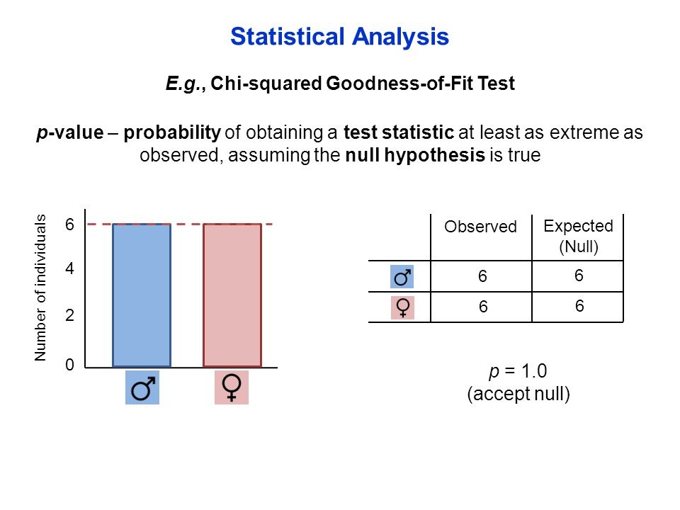 E.g., Chi-squared Goodness-of-Fit Test Statistical Analysis Number of individuals p-value – probability of obtaining a test statistic at least as extreme as observed, assuming the null hypothesis is true 6 6 Observed Expected (Null) 6 6 p = 1.0 (accept null)