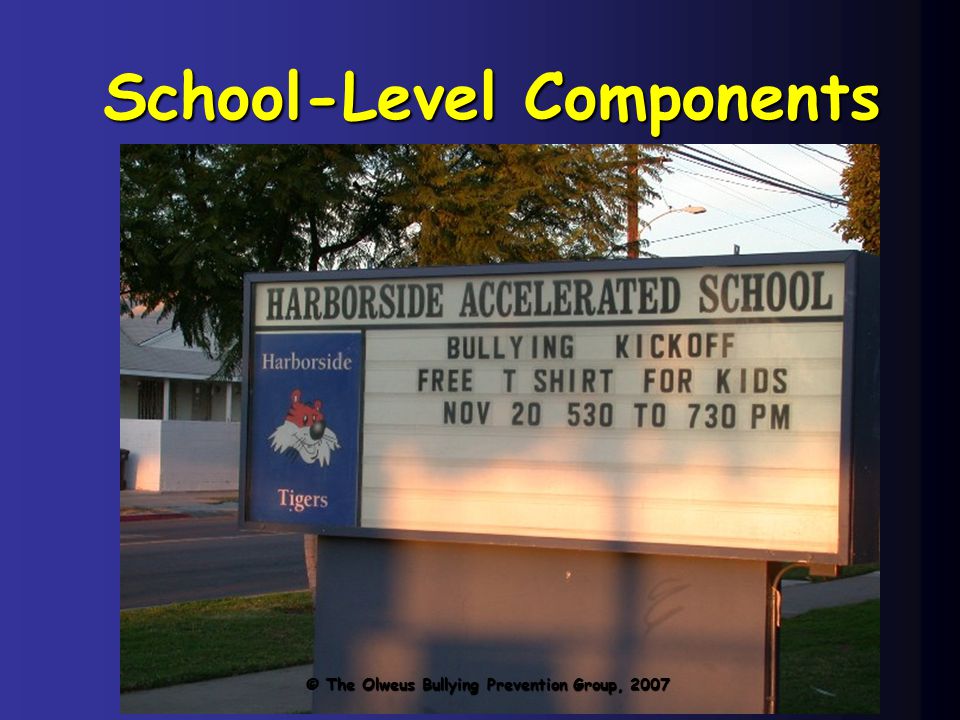 23 School-Level Components © The Olweus Bullying Prevention Group, 2007