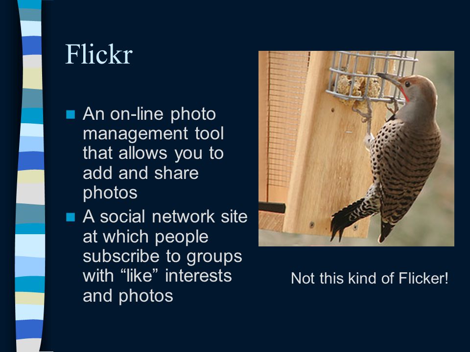 Flickr An on-line photo management tool that allows you to add and share photos A social network site at which people subscribe to groups with like interests and photos Not this kind of Flicker!