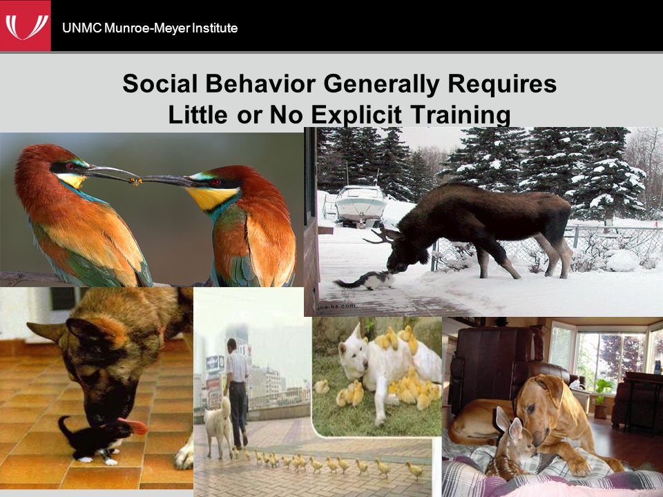 UNMC Munroe-Meyer Institute Social Behavior Generally Requires Little or No Explicit Training