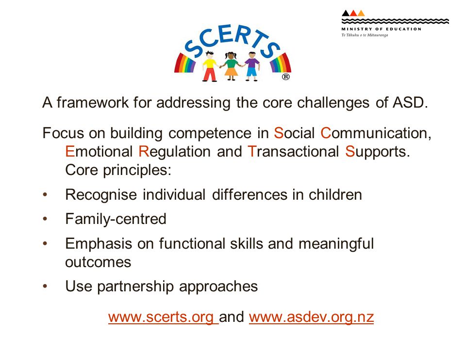 A framework for addressing the core challenges of ASD.