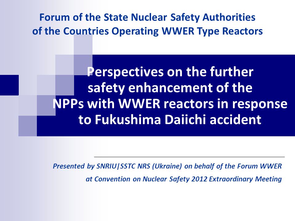 Perspectives On The Further Safety Enhancement Of The Npps With