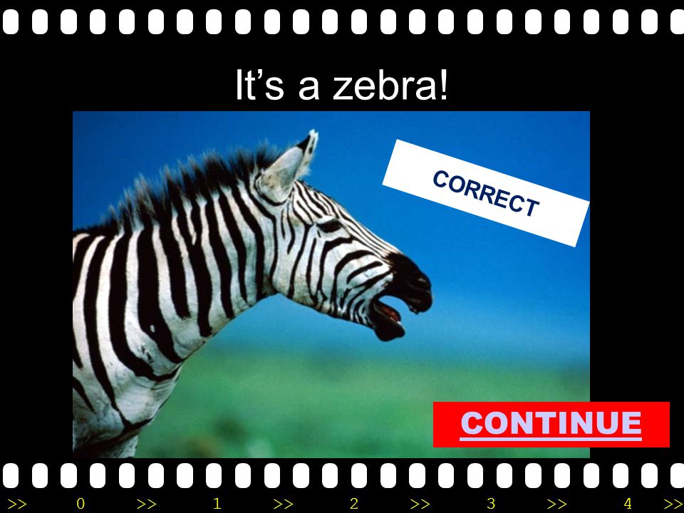 >>0 >>1 >> 2 >> 3 >> 4 >> It’s a zebra! CORRECT CONTINUE