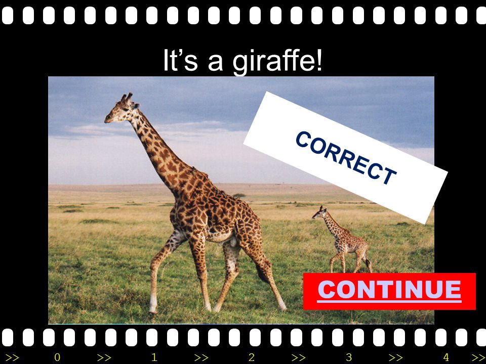 >>0 >>1 >> 2 >> 3 >> 4 >> It’s a giraffe! CORRECT CONTINUE