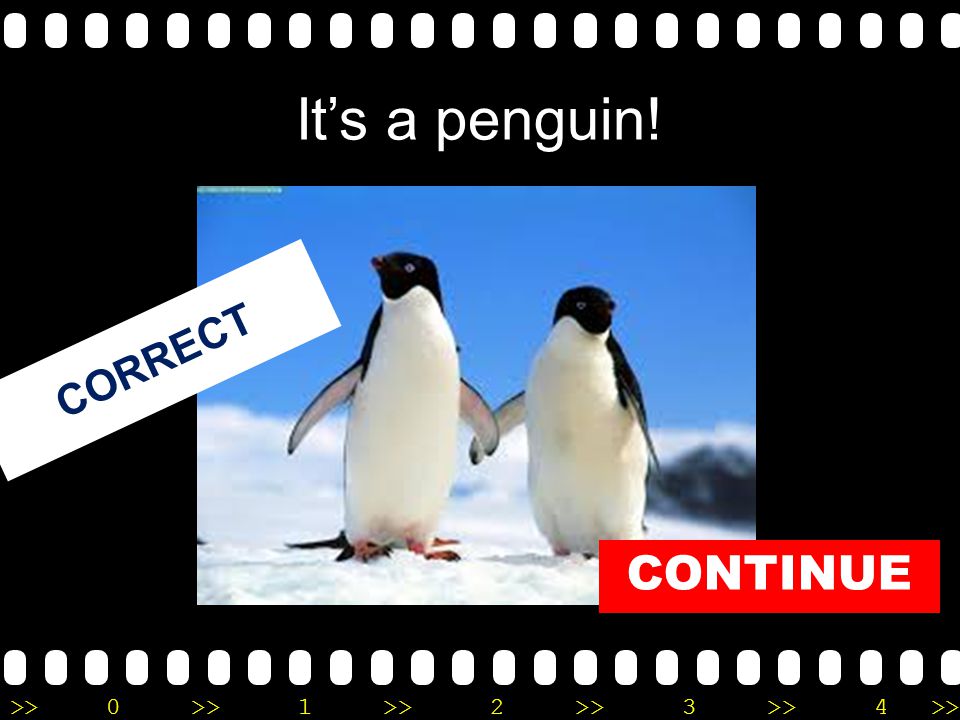 >>0 >>1 >> 2 >> 3 >> 4 >> It’s a penguin! CORRECT CONTINUE
