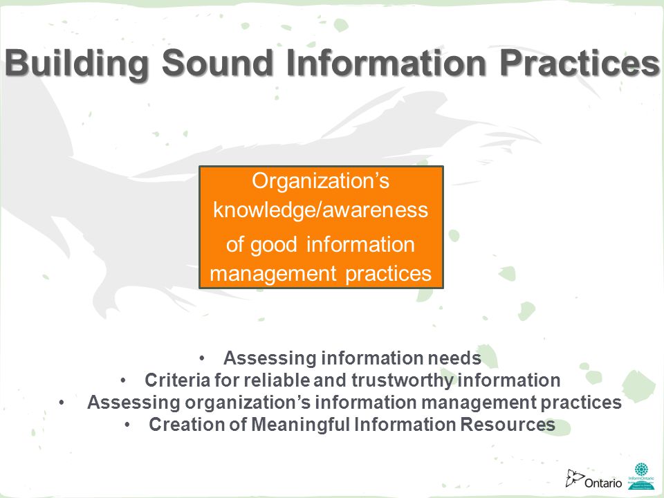 Assessing information needs Criteria for reliable and trustworthy information Assessing organization’s information management practices Creation of Meaningful Information Resources Building Sound Information Practices Organization’s knowledge/awareness of good information management practices
