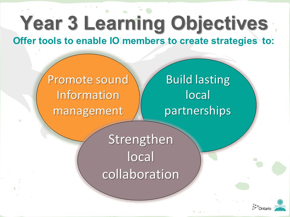 Year 3 Learning Objectives Strengthen local collaboration Promote sound Information management Build lasting local partnerships Offer tools to enable IO members to create strategies to: