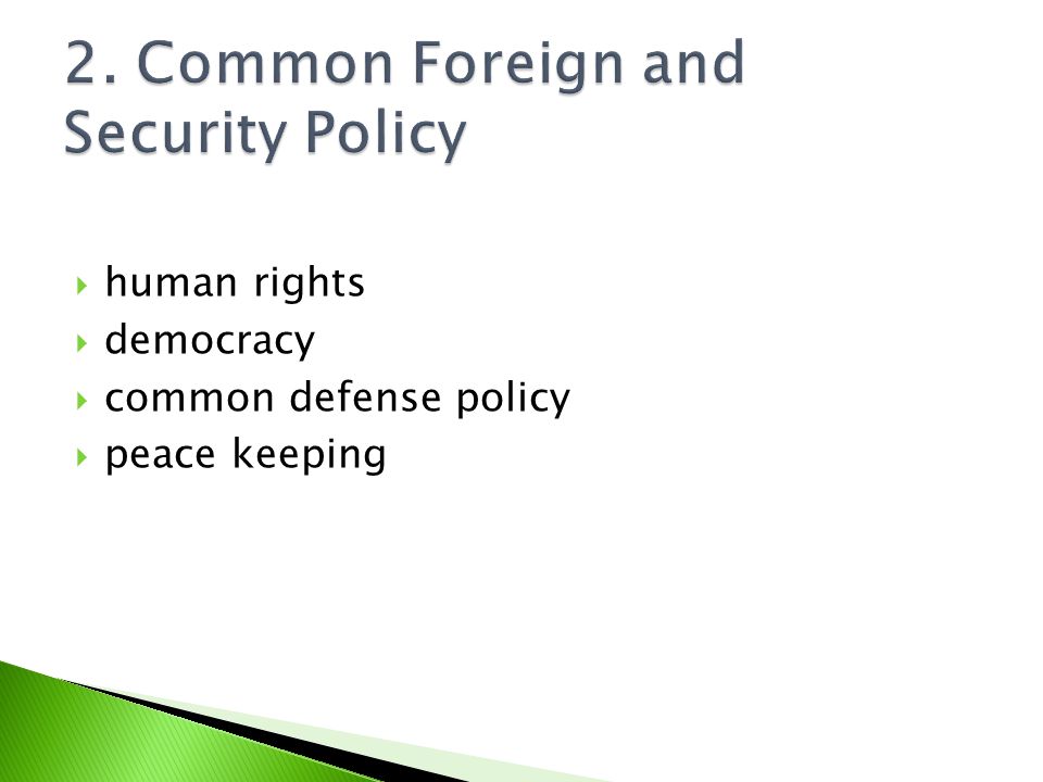  human rights  democracy  common defense policy  peace keeping
