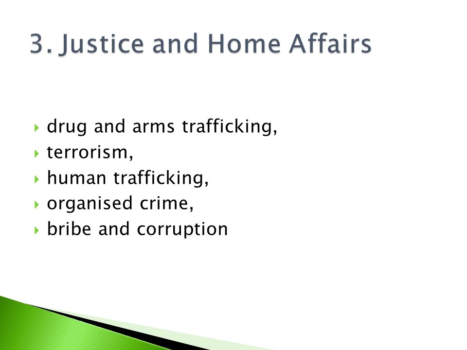  drug and arms trafficking,  terrorism,  human trafficking,  organised crime,  bribe and corruption