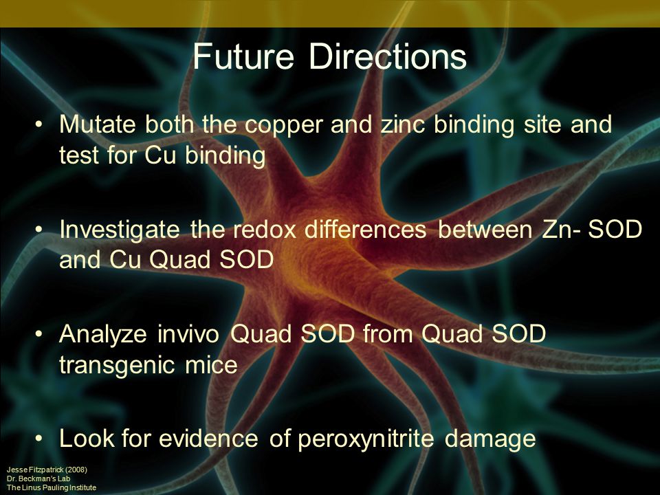 Future Directions Mutate both the copper and zinc binding site and test for Cu binding Investigate the redox differences between Zn- SOD and Cu Quad SOD Analyze invivo Quad SOD from Quad SOD transgenic mice Look for evidence of peroxynitrite damage Jesse Fitzpatrick (2008) Dr.