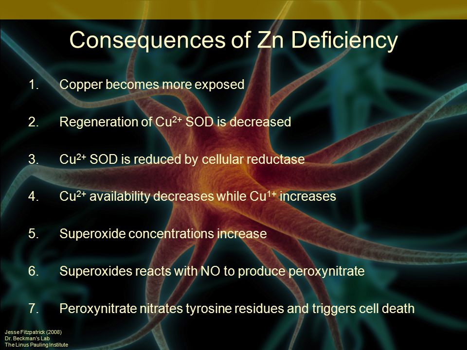 Consequences of Zn Deficiency Jesse Fitzpatrick (2008) Dr.