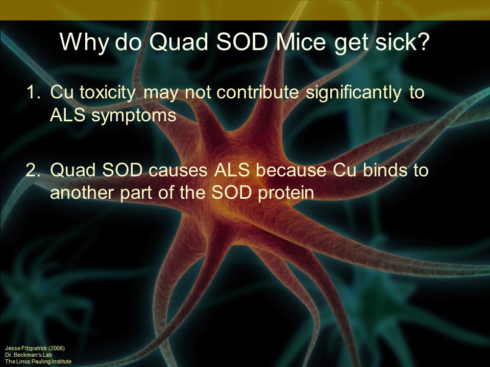 Why do Quad SOD Mice get sick.