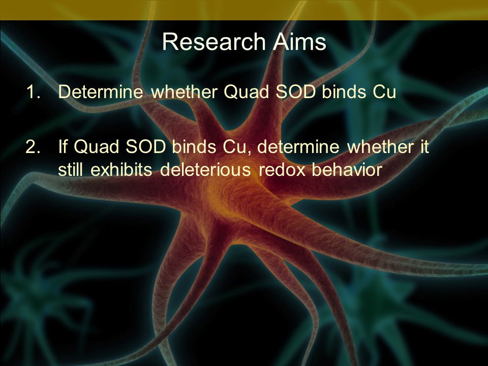 Research Aims 1.Determine whether Quad SOD binds Cu 2.If Quad SOD binds Cu, determine whether it still exhibits deleterious redox behavior
