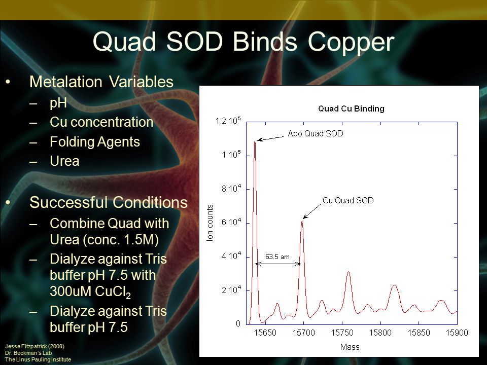 Quad SOD Binds Copper Jesse Fitzpatrick (2008) Dr.