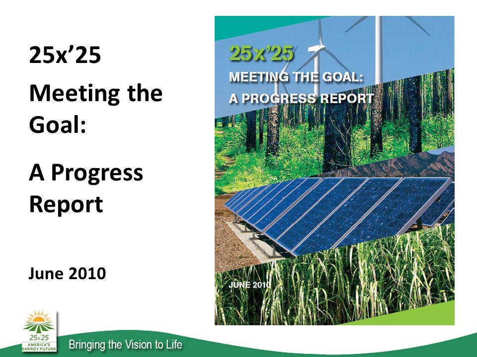 25x’25 Meeting the Goal: A Progress Report June 2010