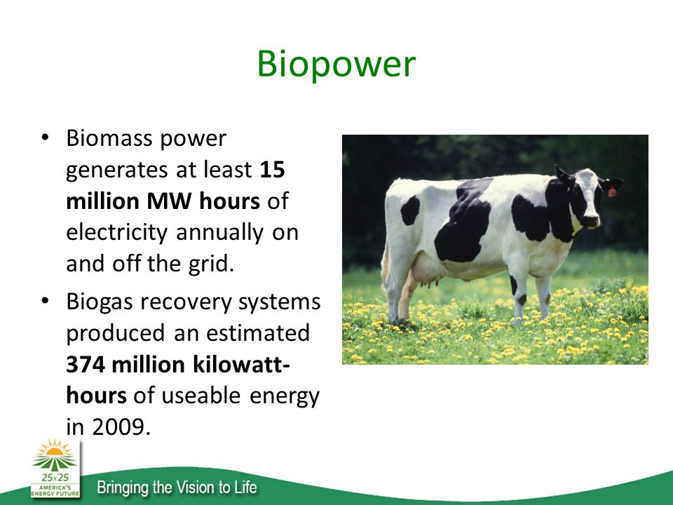 Biopower Biomass power generates at least 15 million MW hours of electricity annually on and off the grid.