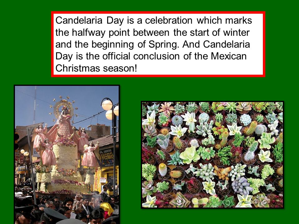 Candelaria Day is a celebration which marks the halfway point between the start of winter and the beginning of Spring.