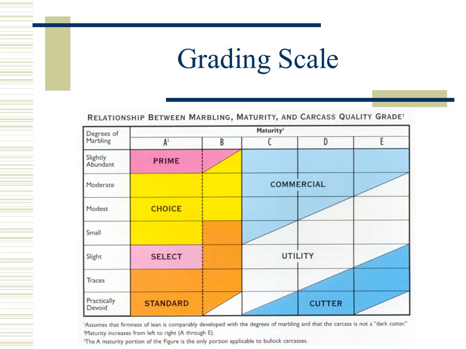 Beef Quality Grade Chart
