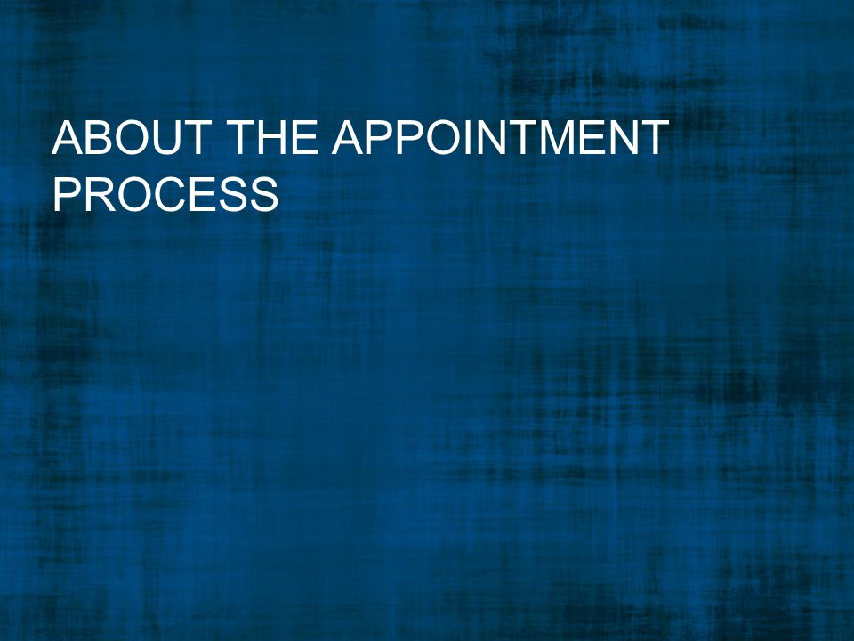 ABOUT THE APPOINTMENT PROCESS