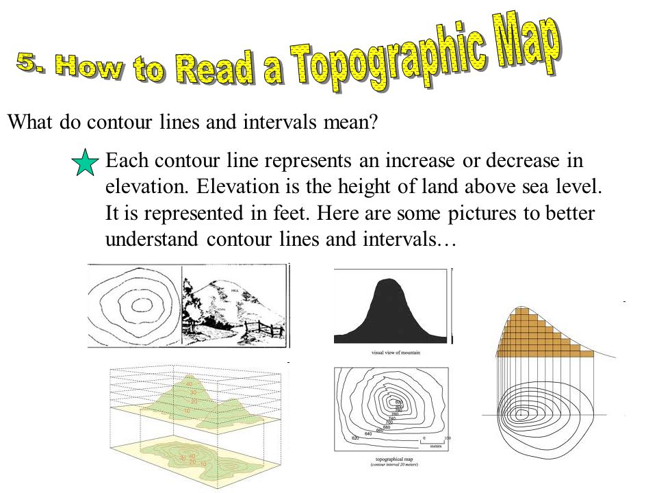 What Do Contour Lines Represent On A Topographic Map By Andrea Anderson. 1.What is a Topographic Map? 2.Longitude and 