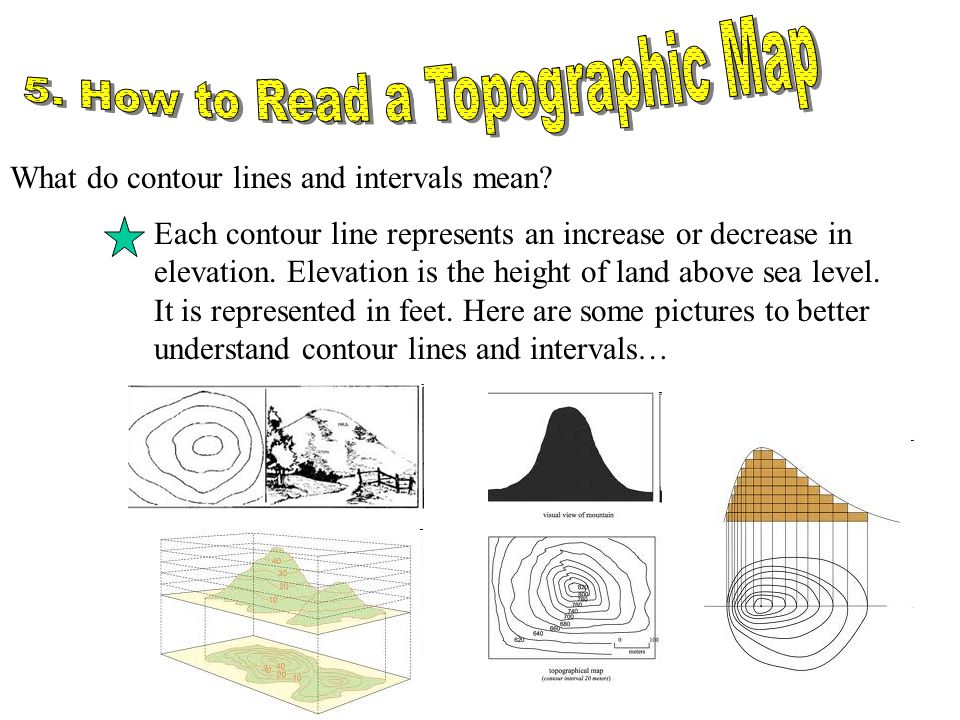 What Do Contour Lines Represent On A Topographic Map Map Vector