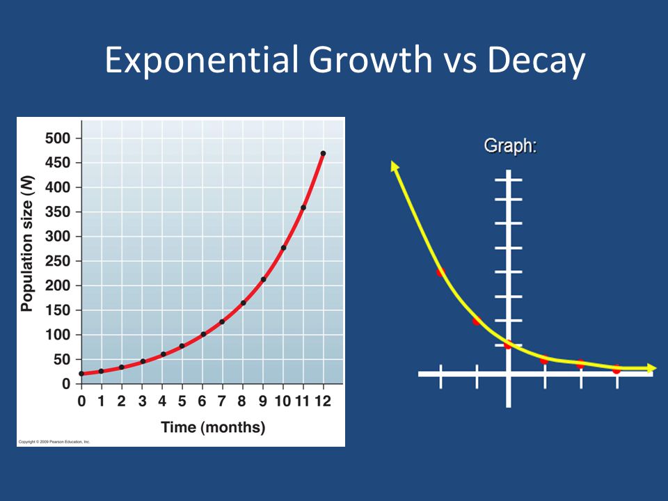 What does Exponential Decay look like.