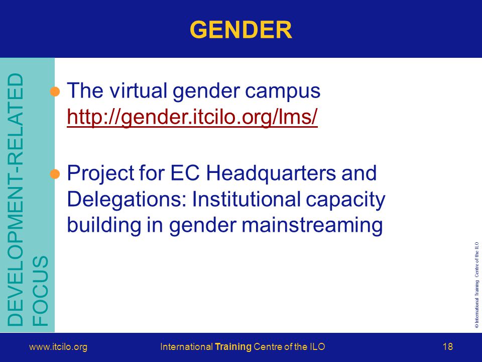 © International Training Centre of the ILO   Training Centre of the ILO18 GENDER DEVELOPMENT-RELATED FOCUS The virtual gender campus     Project for EC Headquarters and Delegations: Institutional capacity building in gender mainstreaming