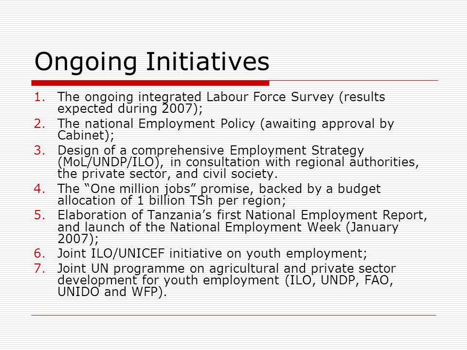 Ongoing Initiatives 1.The ongoing integrated Labour Force Survey (results expected during 2007); 2.The national Employment Policy (awaiting approval by Cabinet); 3.Design of a comprehensive Employment Strategy (MoL/UNDP/ILO), in consultation with regional authorities, the private sector, and civil society.