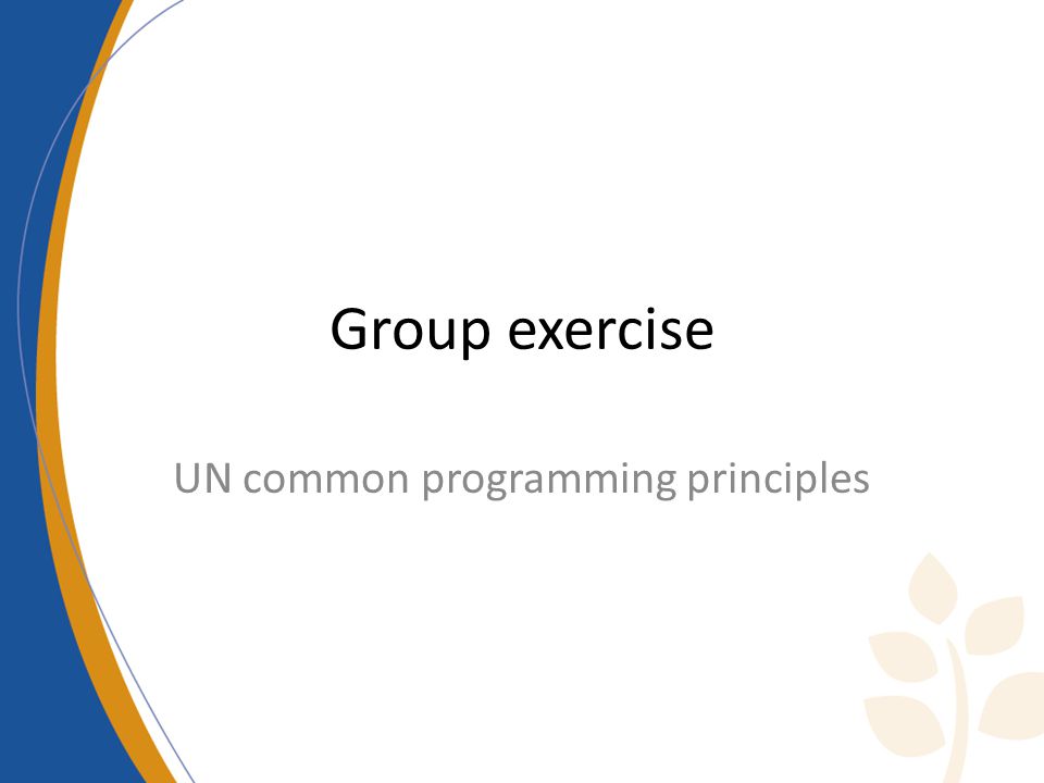 Group exercise UN common programming principles