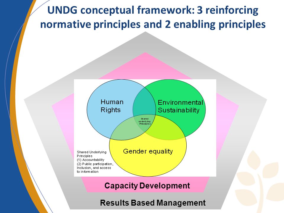 UNDG conceptual framework: 3 reinforcing normative principles and 2 enabling principles Results Based Management Capacity Development