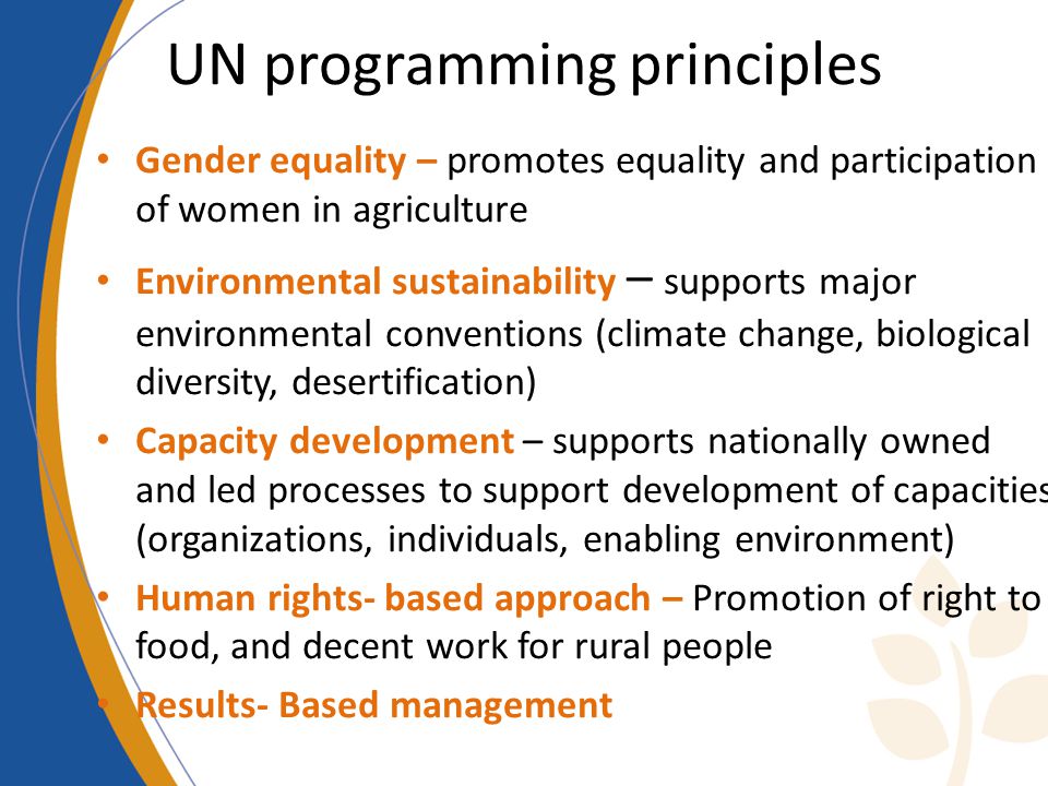 UN programming principles Gender equality – promotes equality and participation of women in agriculture Environmental sustainability – supports major environmental conventions (climate change, biological diversity, desertification) Capacity development – supports nationally owned and led processes to support development of capacities (organizations, individuals, enabling environment) Human rights- based approach – Promotion of right to food, and decent work for rural people Results- Based management
