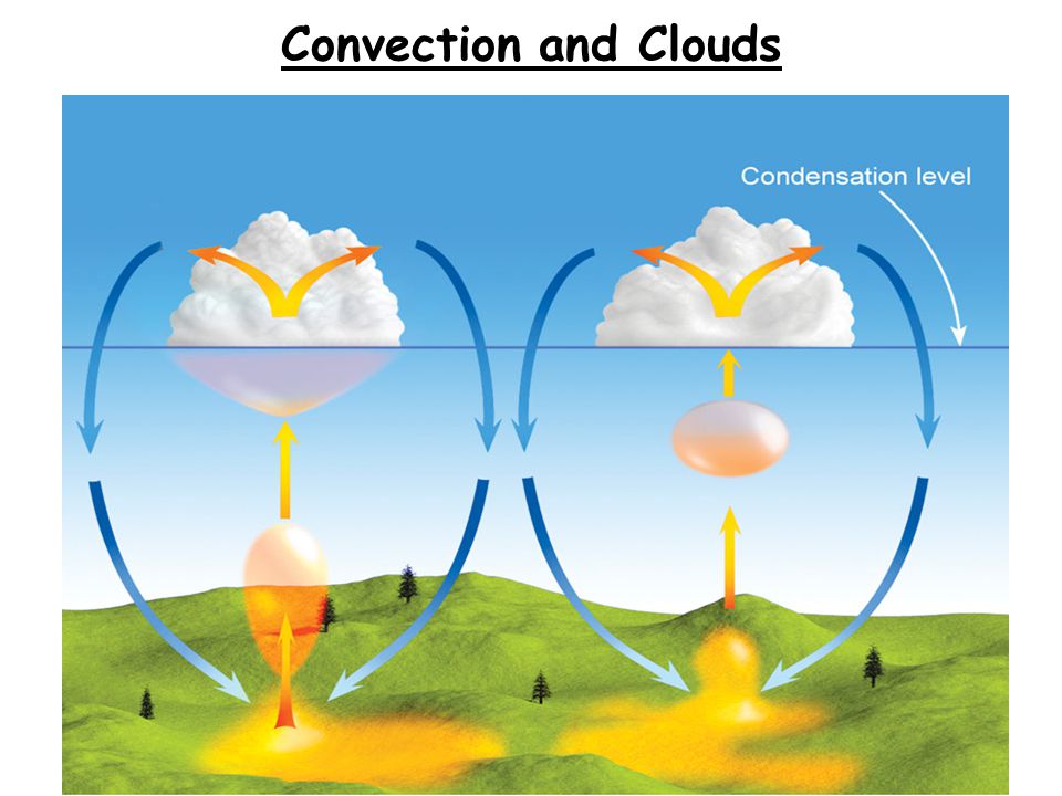 Convection and Clouds