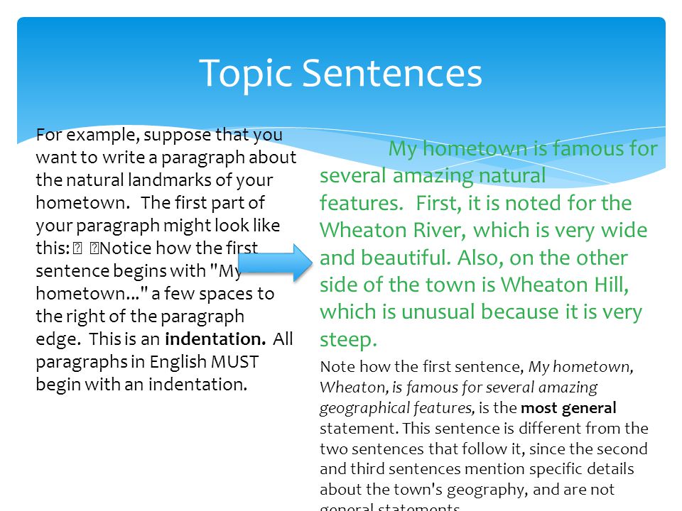 Hamburger Paragraphs How to write a really great paragraph! - ppt download