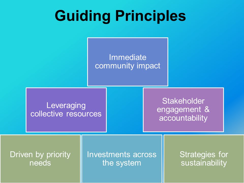 Guiding Principles Driven by priority needs Investments across the system Immediate community impact Leveraging collective resources Stakeholder engagement & accountability Strategies for sustainability