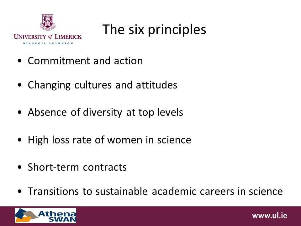 The six principles Commitment and action Changing cultures and attitudes Absence of diversity at top levels High loss rate of women in science Short-term contracts Transitions to sustainable academic careers in science