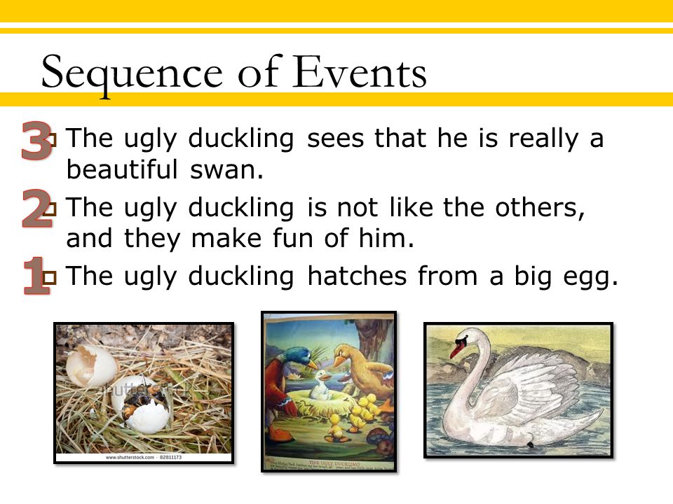Sequence of Events  The ugly duckling sees that he is really a beautiful swan.