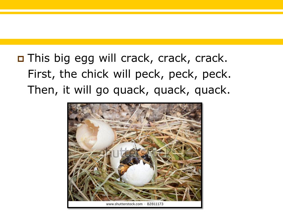  This big egg will crack, crack, crack. First, the chick will peck, peck, peck.