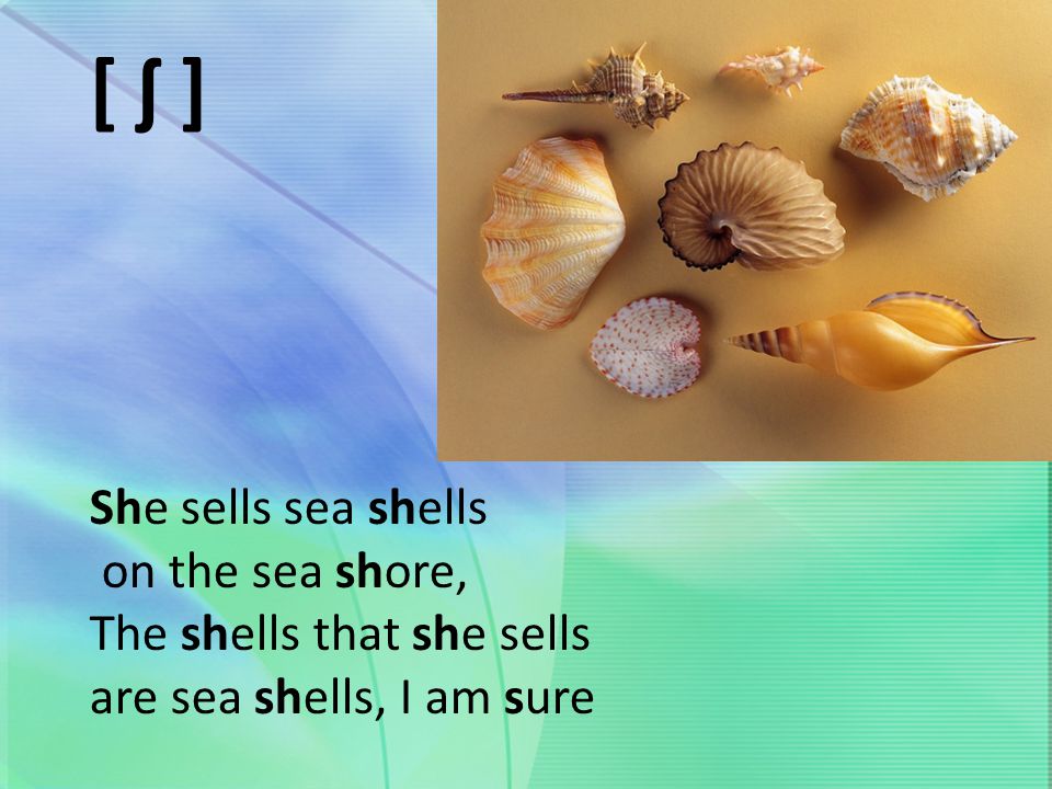 Скороговорка she sells. Скороговорка she sells Seashells. She sells Seashells by the Sea скороговорка. Английская скороговорка she sells Seashells on the. Скороговорки на английском she sells Seashells.