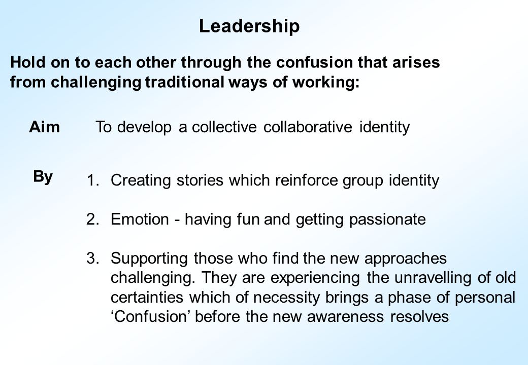 Hold on to each other through the confusion that arises from challenging traditional ways of working: Leadership AimTo develop a collective collaborative identity By 1.Creating stories which reinforce group identity 2.Emotion - having fun and getting passionate 3.Supporting those who find the new approaches challenging.