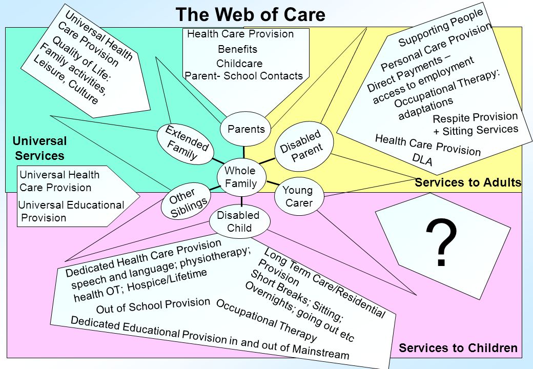 Services to Children Services to Adults Universal Services The Web of Care .
